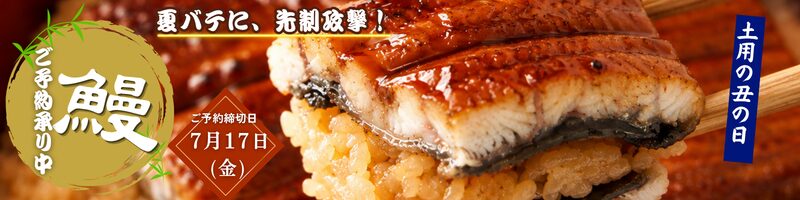 うなぎバナー